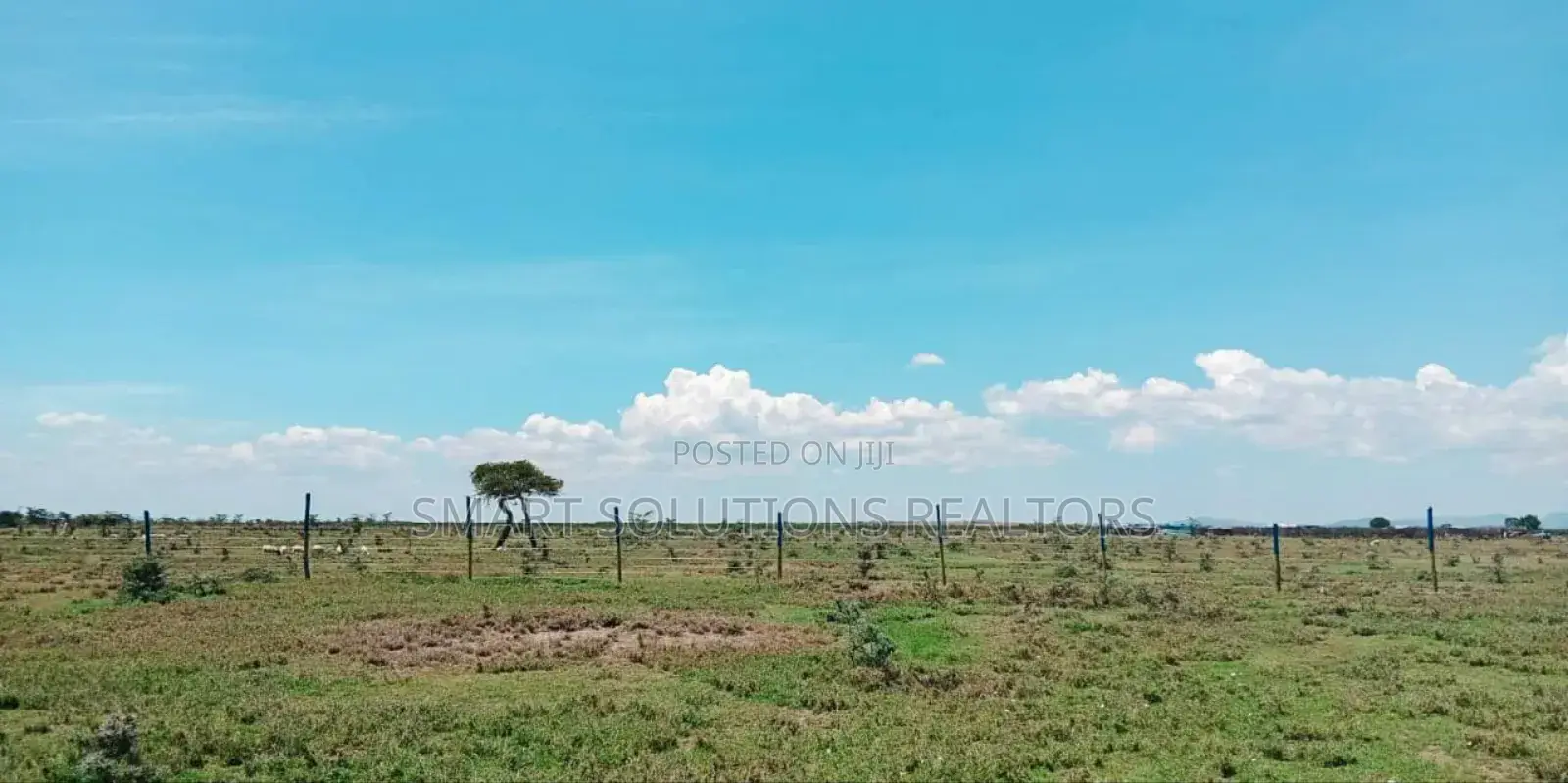 Nanyuki Plots - 100*100