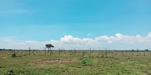 Nanyuki Plots - 100*100