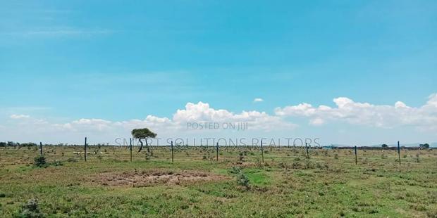 Nanyuki Plots - 100*100 - main view