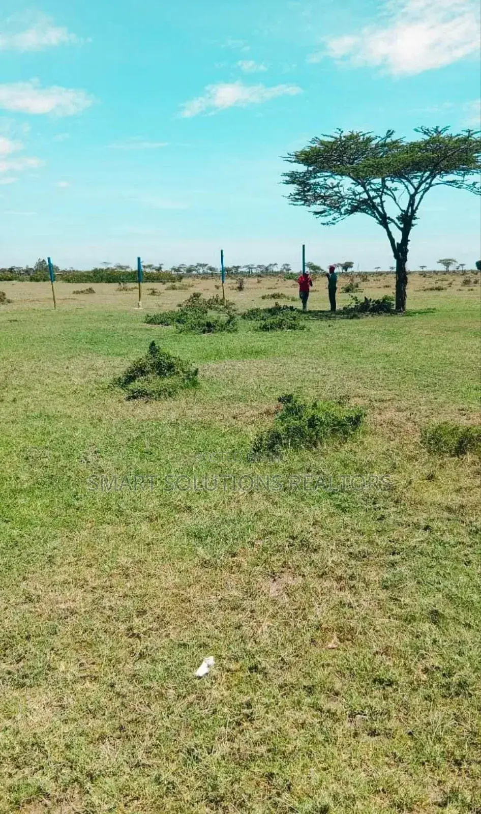 Nanyuki Plots - 100*100