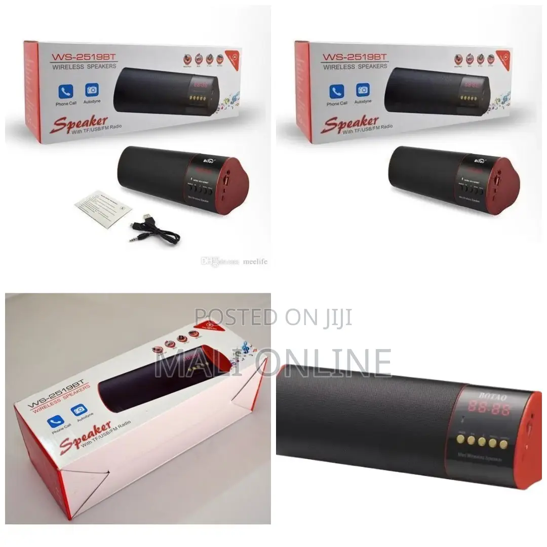 Wster Ws-2519bt Portable Bluetooth Speaker Wireless Fm Radio Usb.
