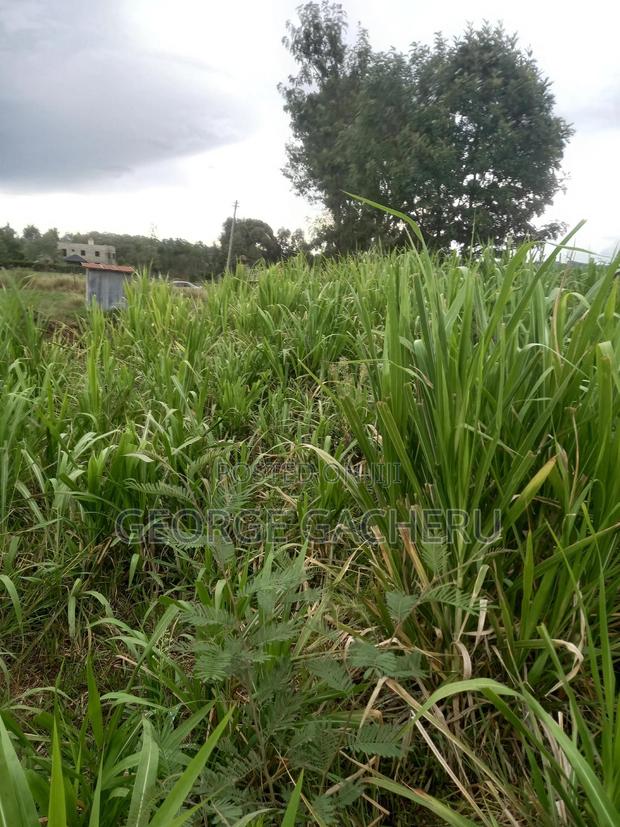 1 Acre Ol Kalou for Sale - thumbnail 2