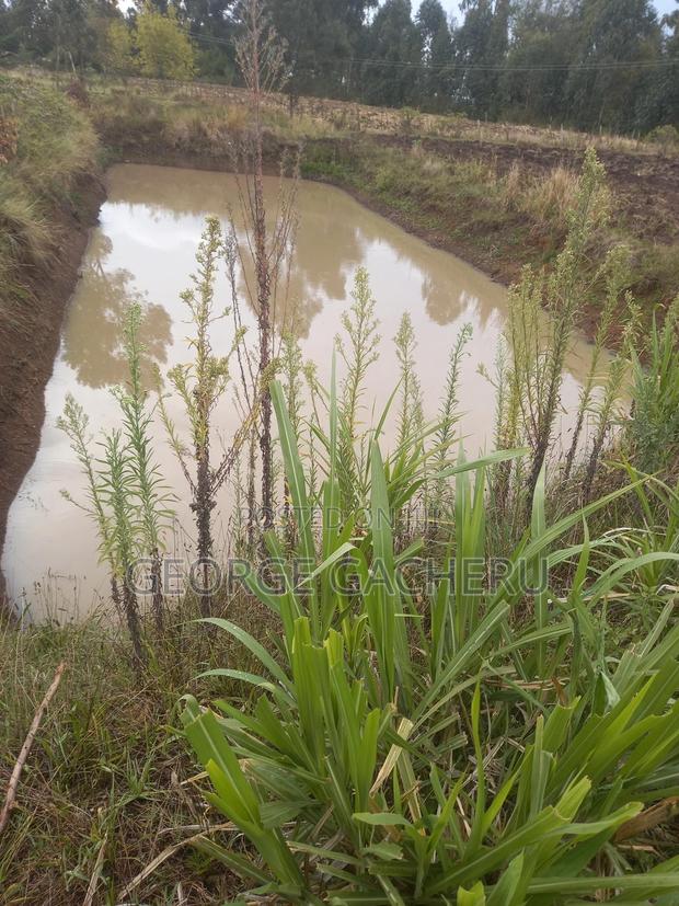 1 Acre Ol Kalou for Sale - thumbnail 7