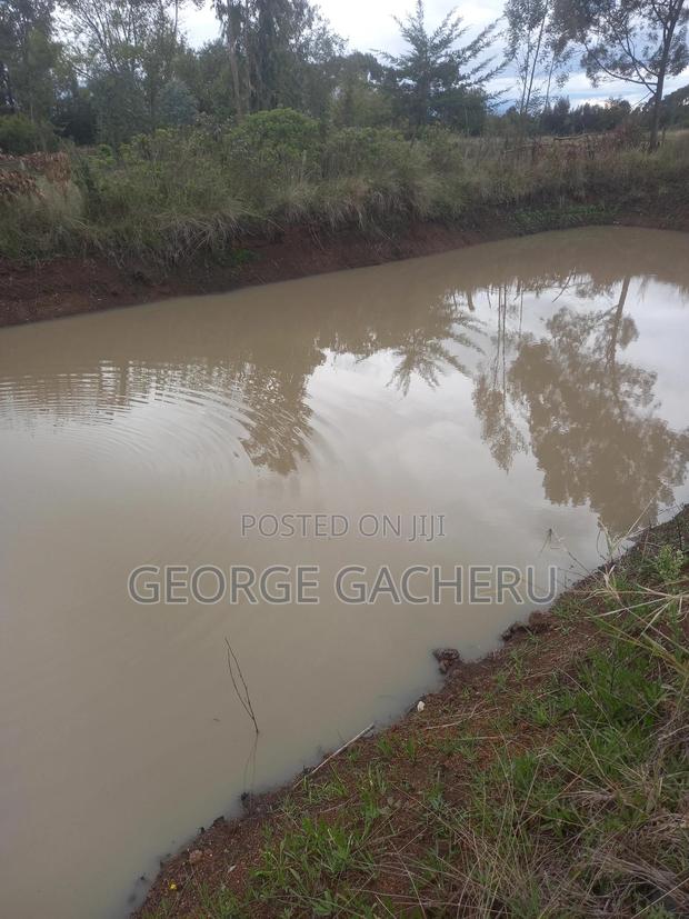 1 Acre Ol Kalou for Sale - thumbnail 4