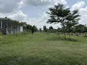 Mitunguu -Meru 10 Acre Resort for Lease
