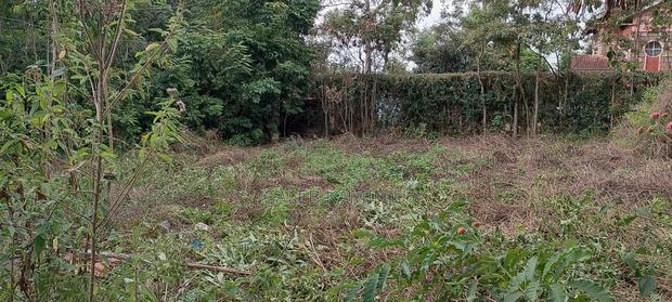 1/4 Acre for Sale Vet, Ngong, Next to Nazareth Primary School.