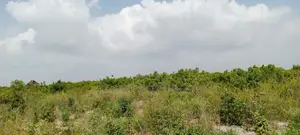Jacaranda Beach Plot for Sale
