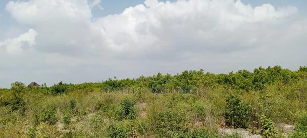 Jacaranda Beach Plot for Sale - thumbnail 3