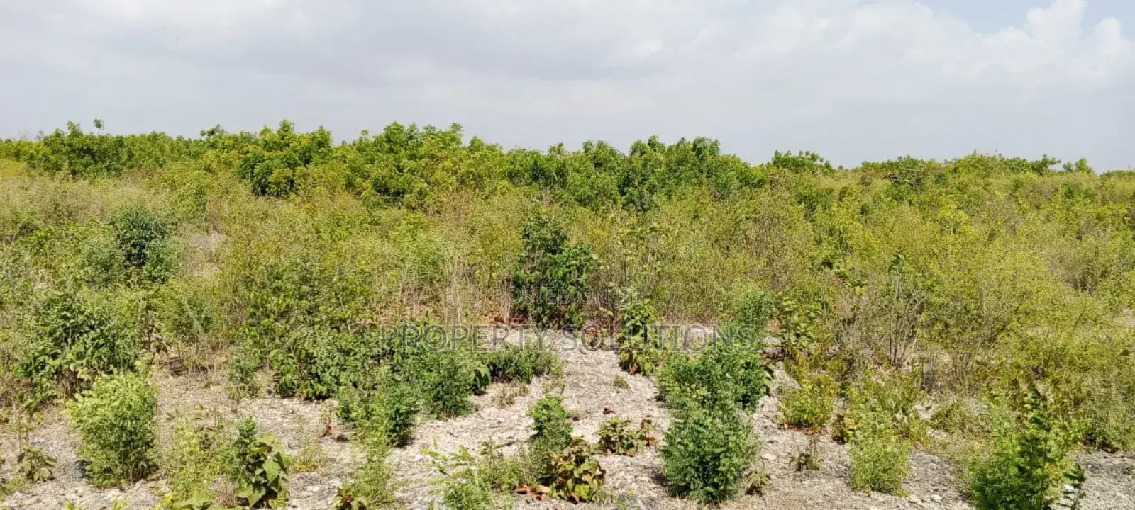 Jacaranda Beach Plot for Sale
