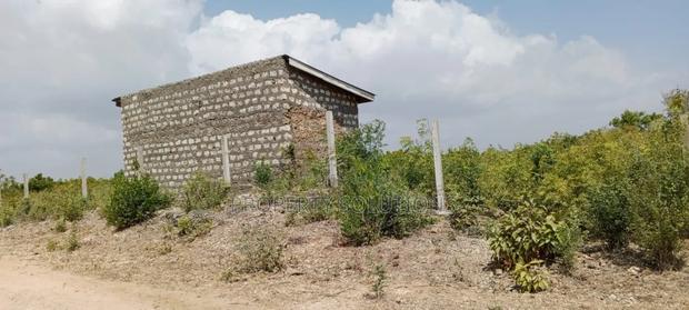 Jacaranda Beach Plot for Sale - thumbnail 5