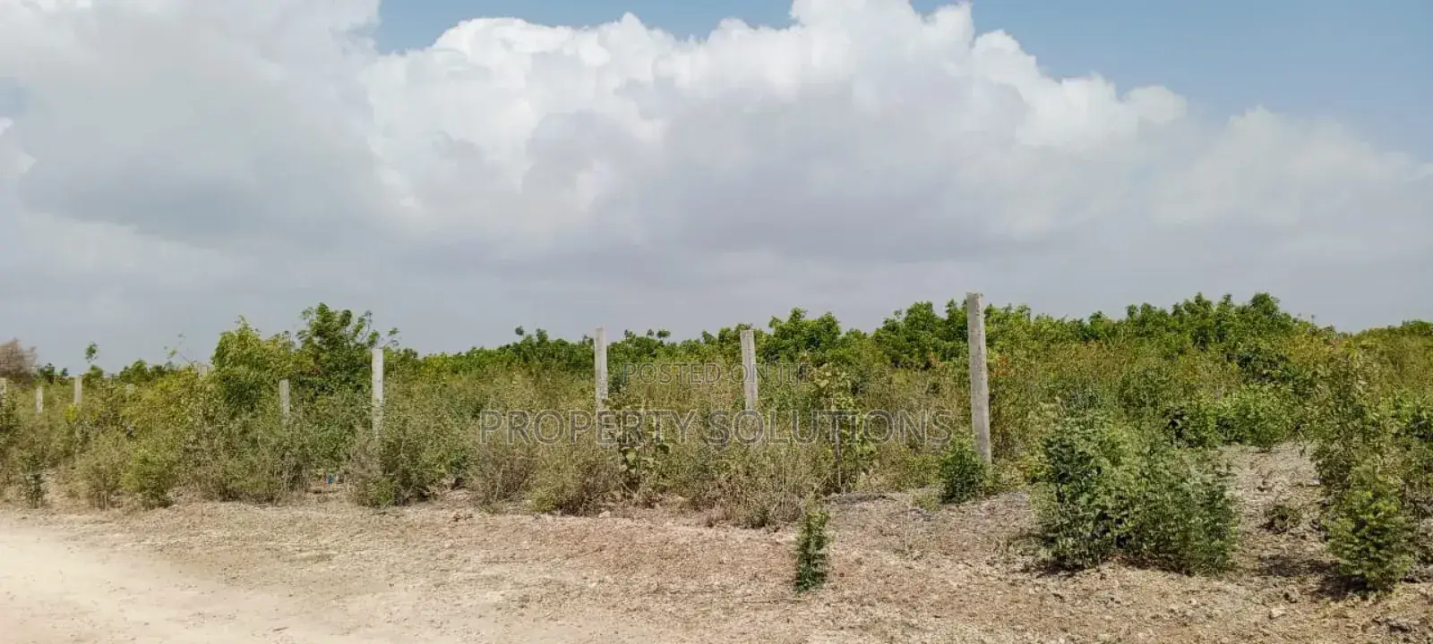 Jacaranda Beach Plot for Sale