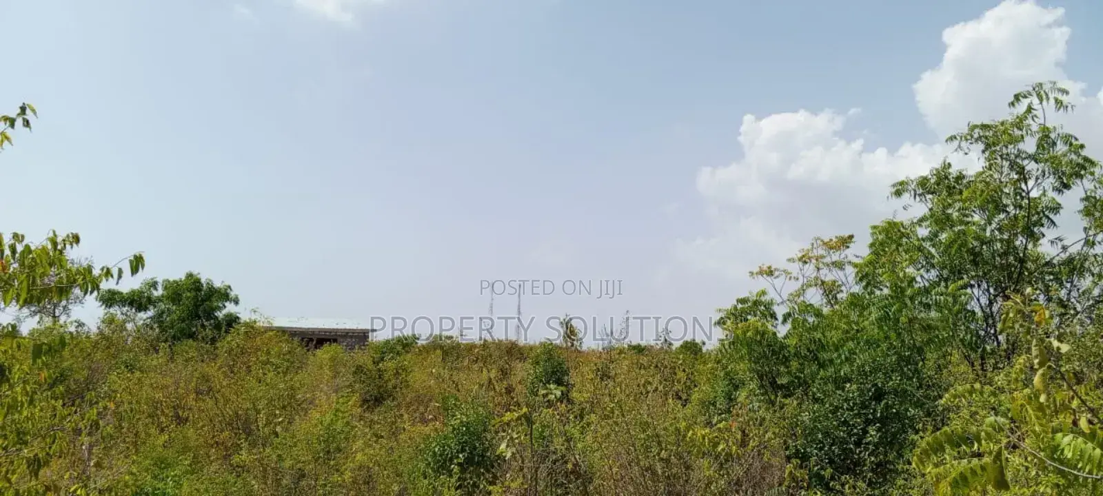 Jacaranda Beach Plot for Sale