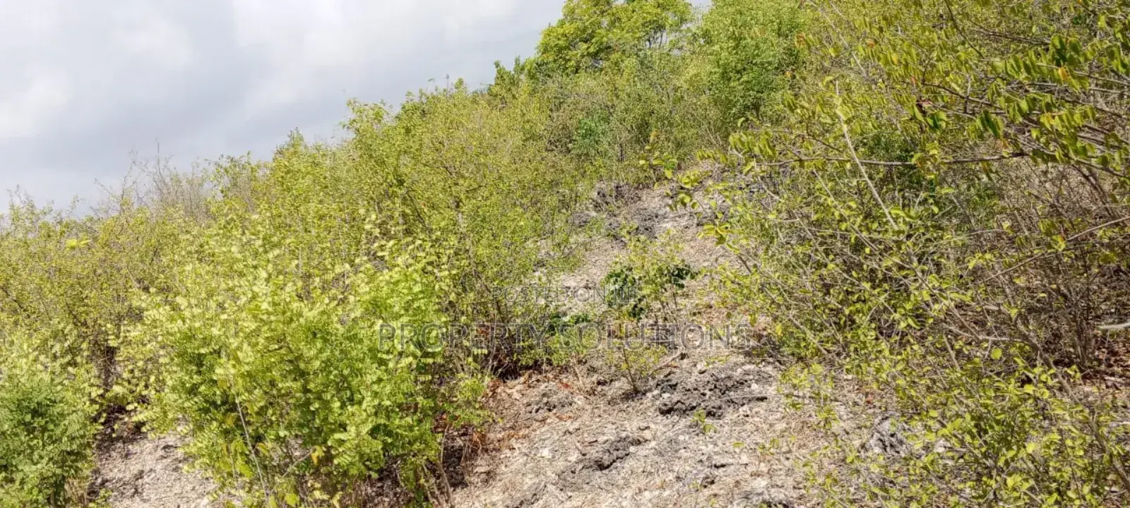 Jacaranda Beach Plot for Sale