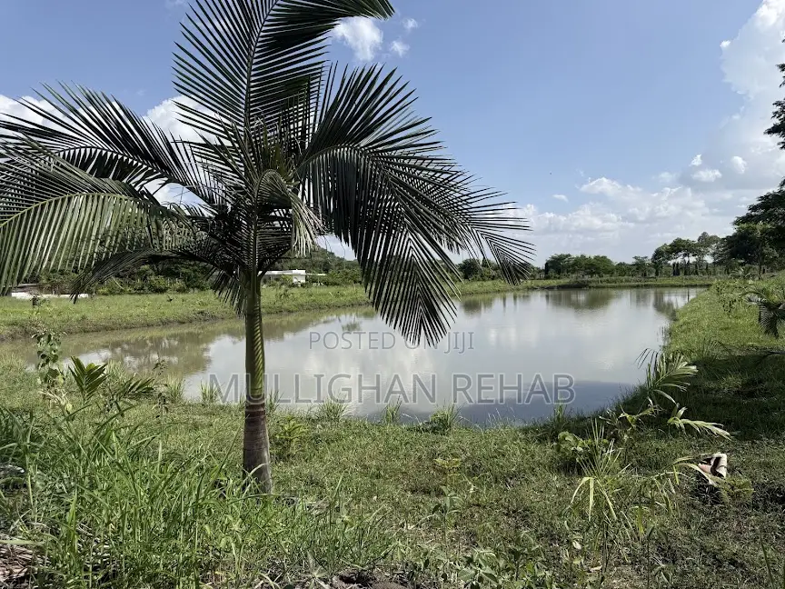 Mitunguu -Meru 10 Acre Resort for Lease