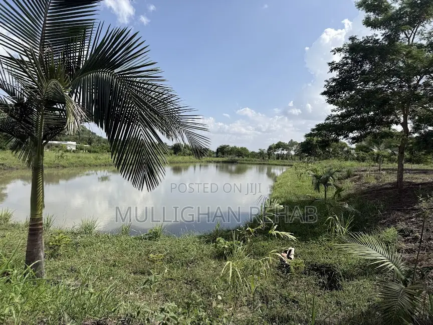 Mitunguu -Meru 10 Acre Resort for Lease