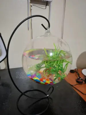 Fish Aquarium