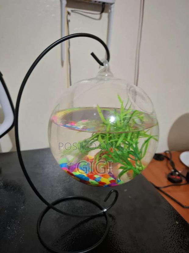 Fish Aquarium - thumbnail 2