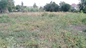 Plot for Sale in Ruai Kangundo Road Off Mavoko - thumbnail 2