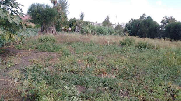 Plot for Sale in Ruai Kangundo Road Off Mavoko - thumbnail 3