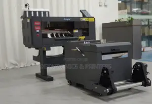 Yinghe 30cm (300mm) DTF Printer With 2 Xp600 Heads