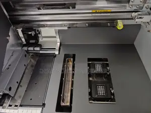 Yinghe 30cm (300mm) DTF Printer With 2 Xp600 Heads