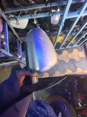 Nissan Dualis Side Mirror