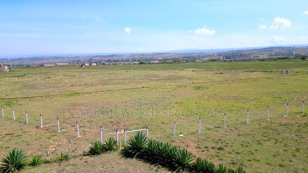 In Naivasha,1.2km Off The Tarmac, - thumbnail 3
