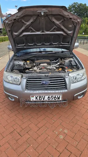 Subaru Forester 2006 Gray