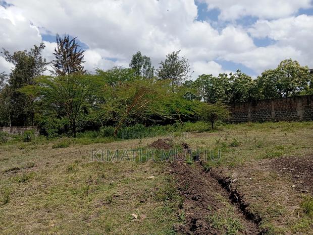 This Is a Very Prime Vacant 1/2 Acre Land - thumbnail 5