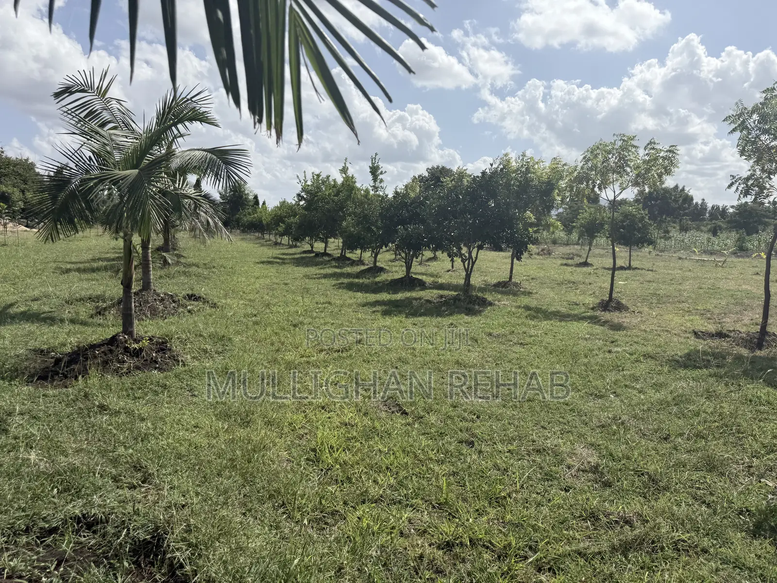 Mitunguu -Meru 10 Acre Resort for Lease