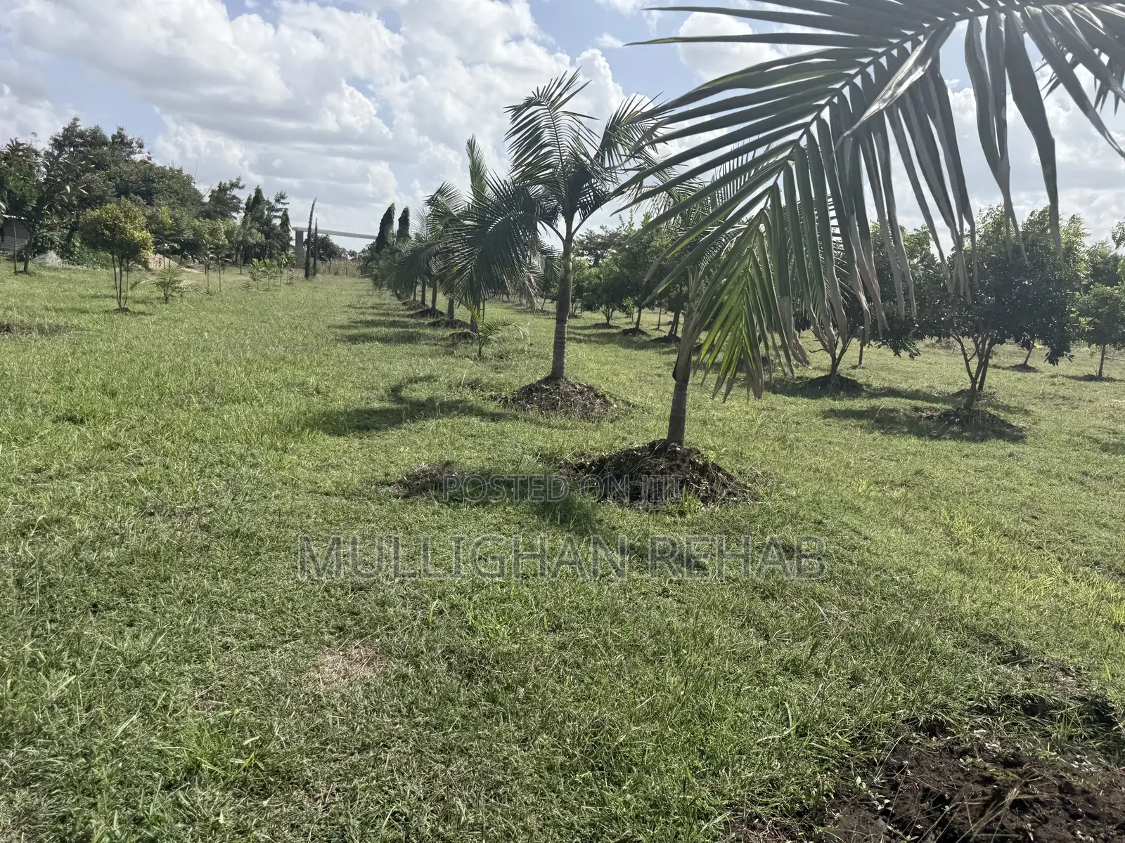 Mitunguu -Meru 10 Acre Resort for Lease