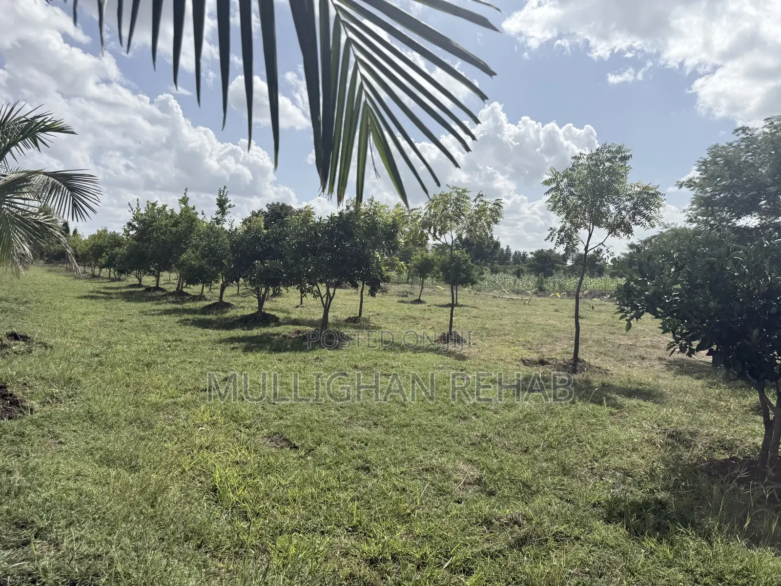Mitunguu -Meru 10 Acre Resort for Lease