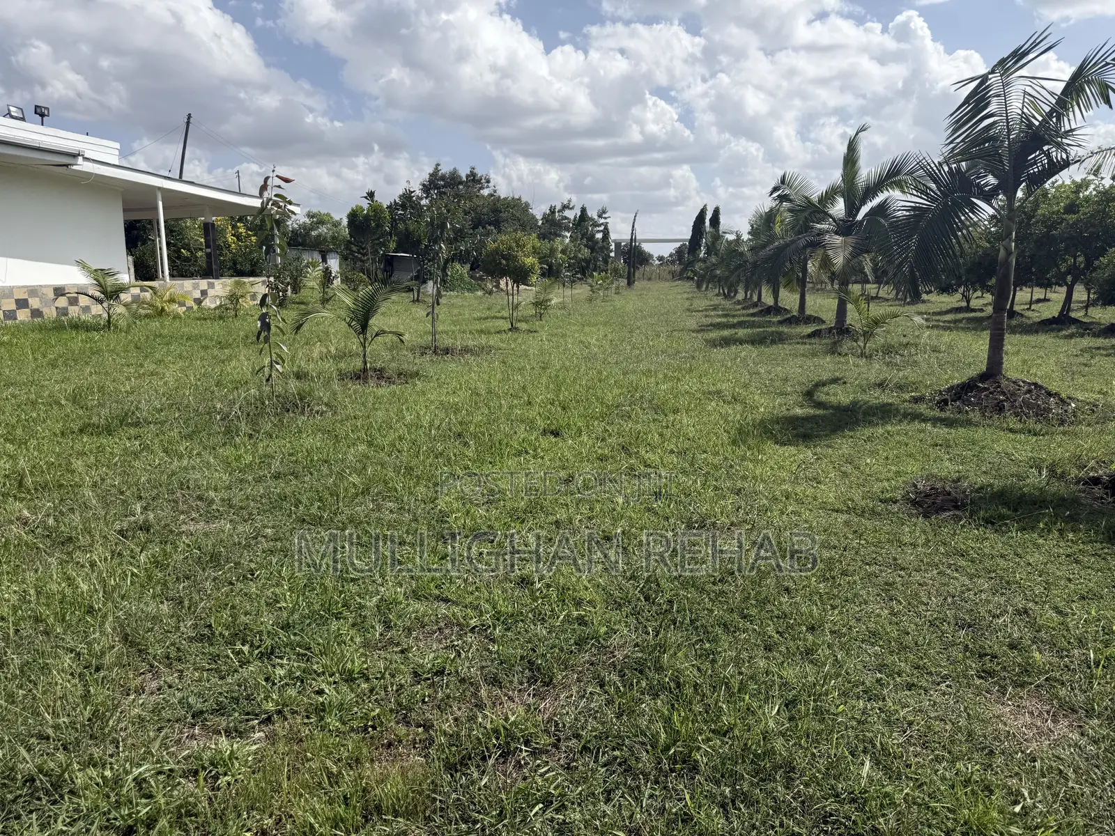 Mitunguu -Meru 10 Acre Resort for Lease