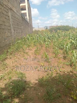 Bypass Plots ( Ruiru Bypass) - thumbnail 2