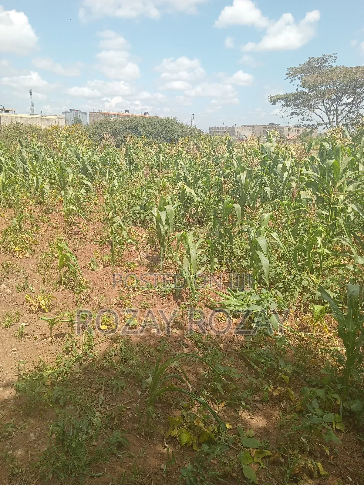 Bypass Plots ( Ruiru Bypass)