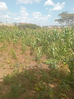 Bypass Plots ( Ruiru Bypass)