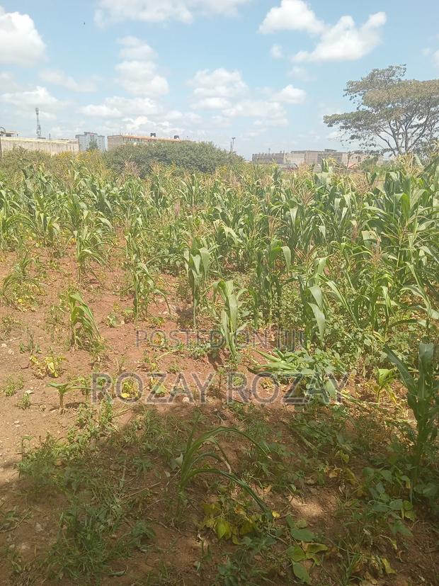 Bypass Plots ( Ruiru Bypass) - thumbnail 3