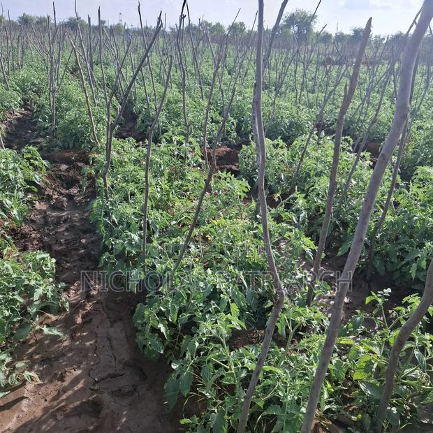 40 Acre Farm at Kiboko Mombasa Road Selling at 1.9m.Per Acre