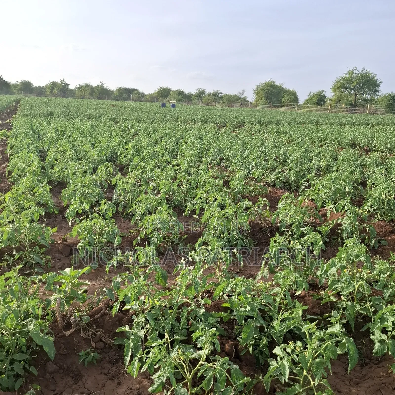 40 Acre Farm at Kiboko Mombasa Road Acre