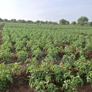 40 Acre Farm at Kiboko Mombasa Road Acre