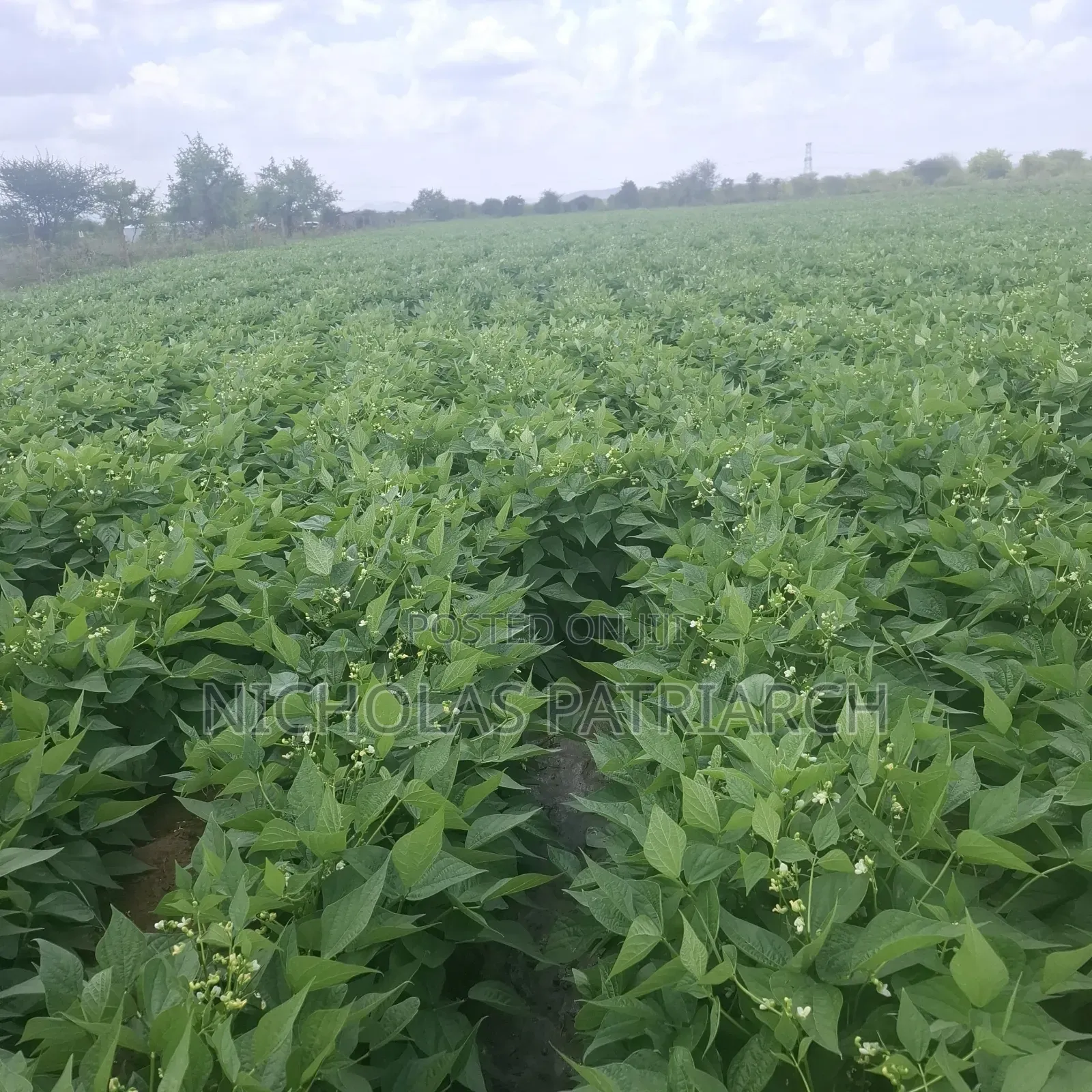 40 Acre Farm at Kiboko Mombasa Road Acre