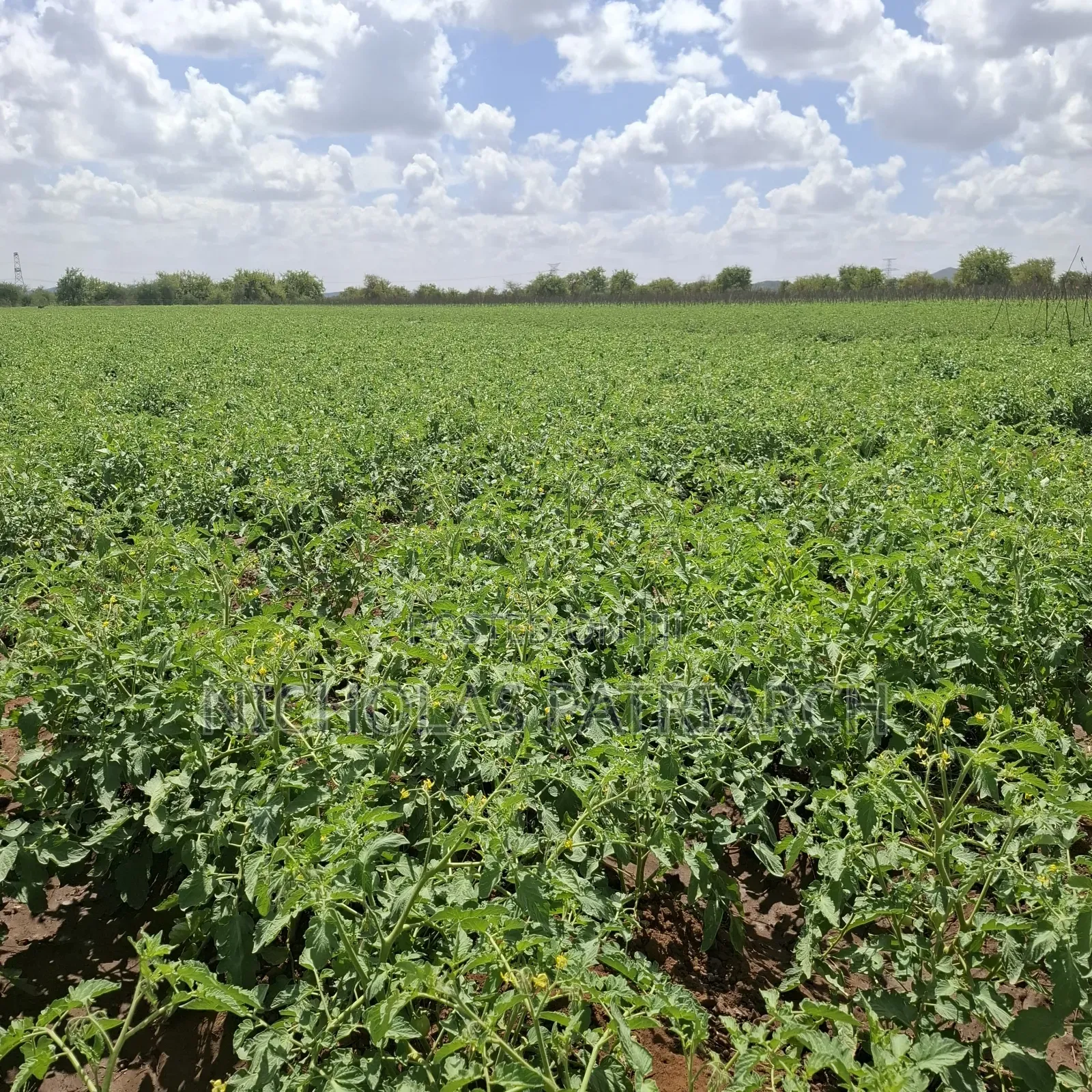 40 Acre Farm at Kiboko Mombasa Road Acre