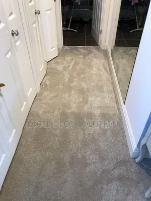Luxury Wall-to-Wall Vip Carpet Flooring