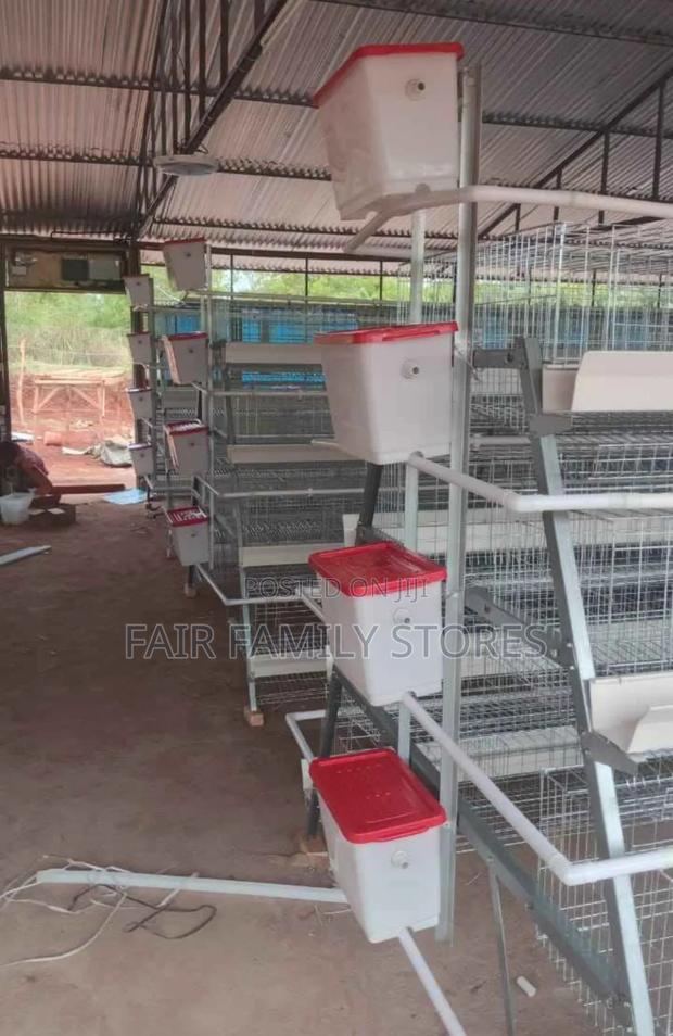 128 Birds Poultry Cage (Layer/Broiler Cage System) - main view