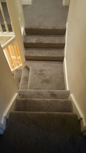 High-Traffic Vip Carpet for Commercial Use