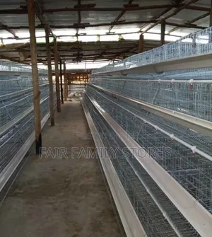 Chicken Cages Automatic 128 Birds