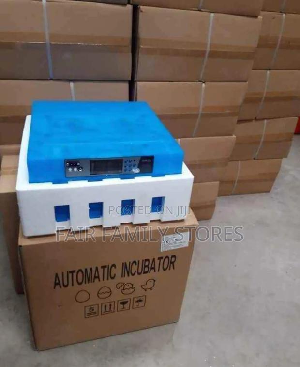 Egg Incubator 64 Egg - thumbnail 4