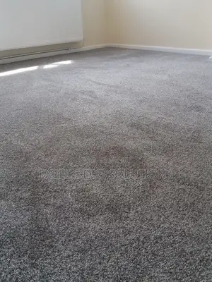 Executive-Finish Carpet Flooring (Vip Quality)
