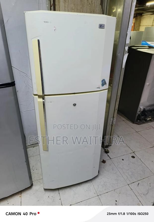 White Lg Stabilizer Double Door Fridge