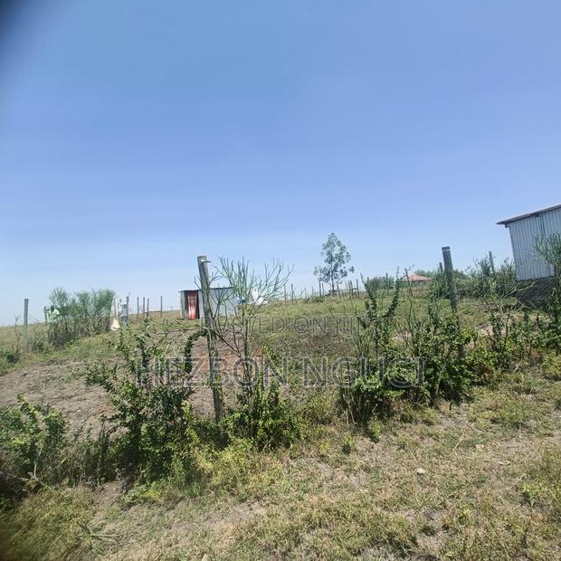 Land On Sale -1\4 Plot Size (100*100ft) - main view